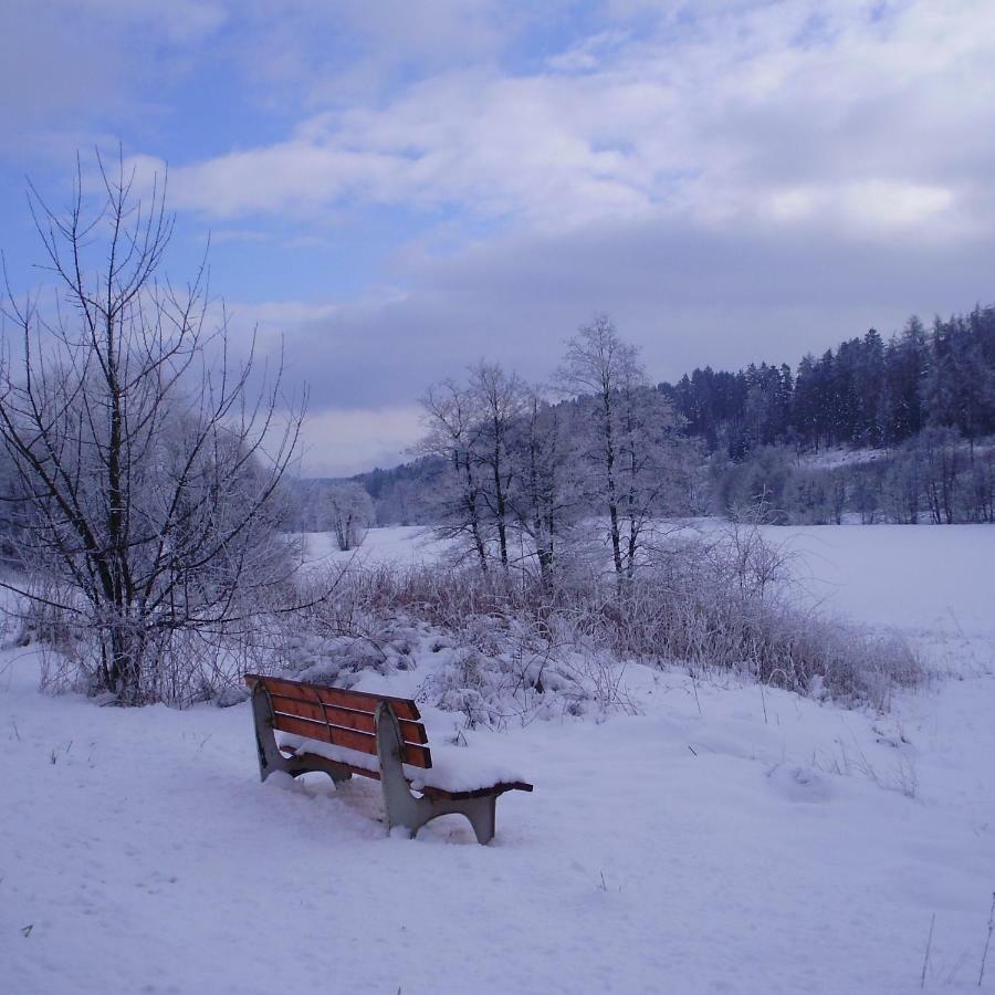 Feriendomizil-Sauerland Fewo 1 メーデバッハ エクステリア 写真